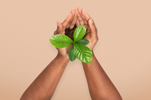 Environmental Consideration